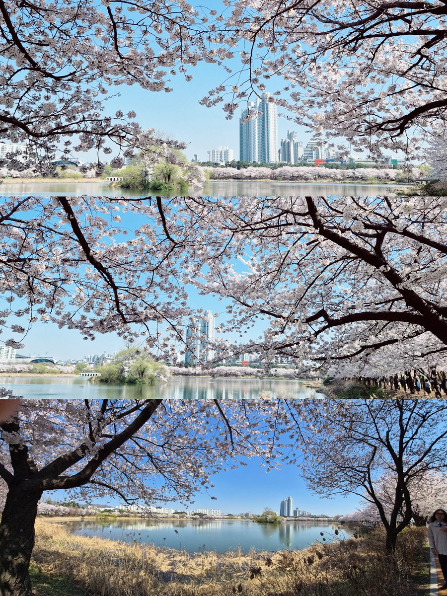 OT7 | هِـيُّـورِي tweet media