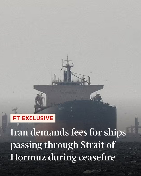 Mark Moss tweet media