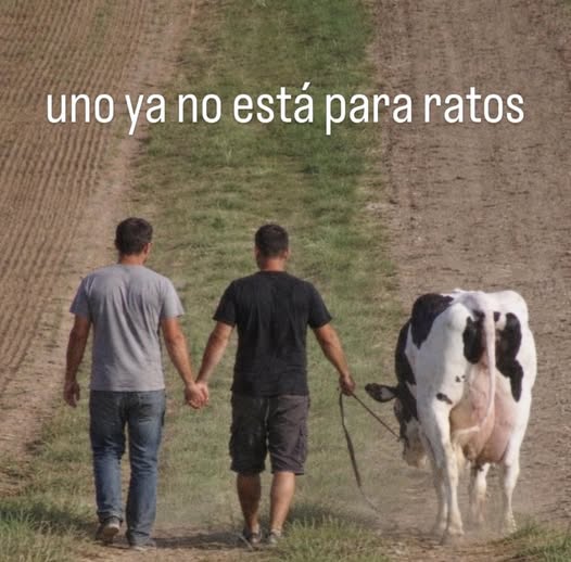 Motolito tweet media