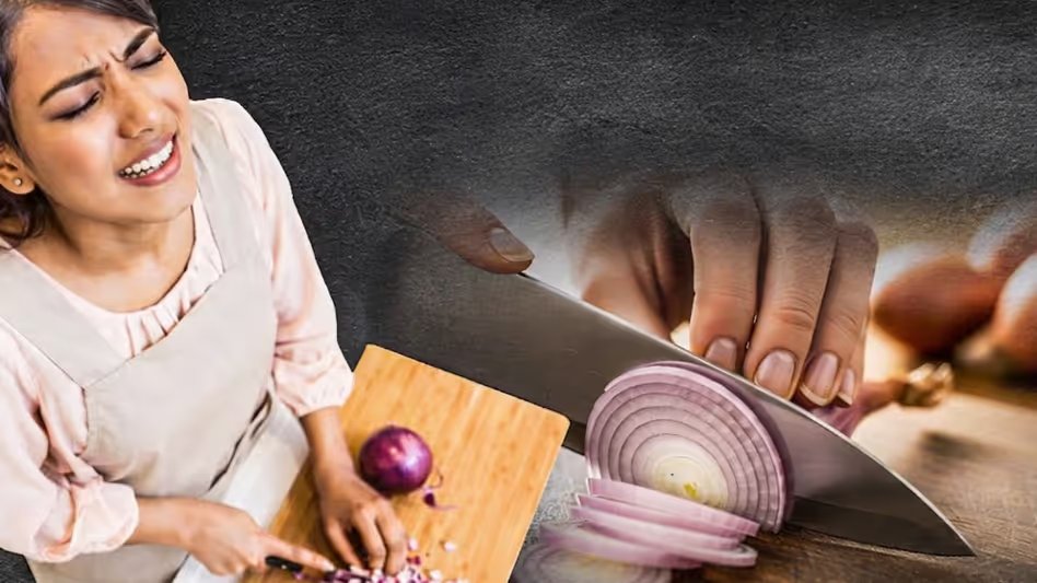 GoodNewsToday's tweet image. Onion Cutting Tips: आप भी भागते हैं दूर प्याज काटने के नाम पर? तो गांठ बांध लें इस टिप की.. नहीं टपकेगा एक भी आंसू

#Onion #Cutting #Tips #Kitchen #Hacks 
  
पूरी खबर पढ़ें:  tinyurl.com/2s37fjep