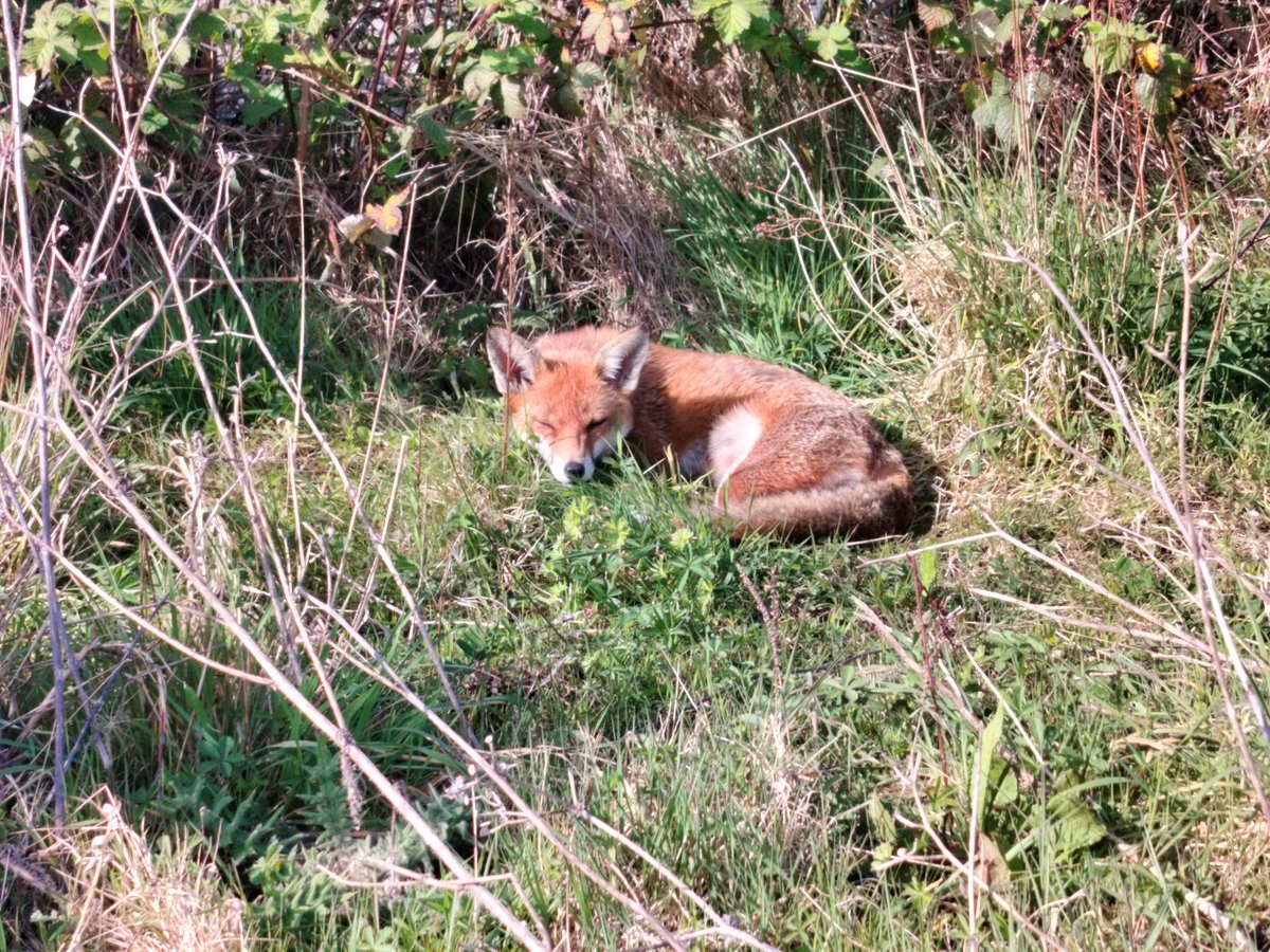 Graham's RailwaySiding77 tweet media