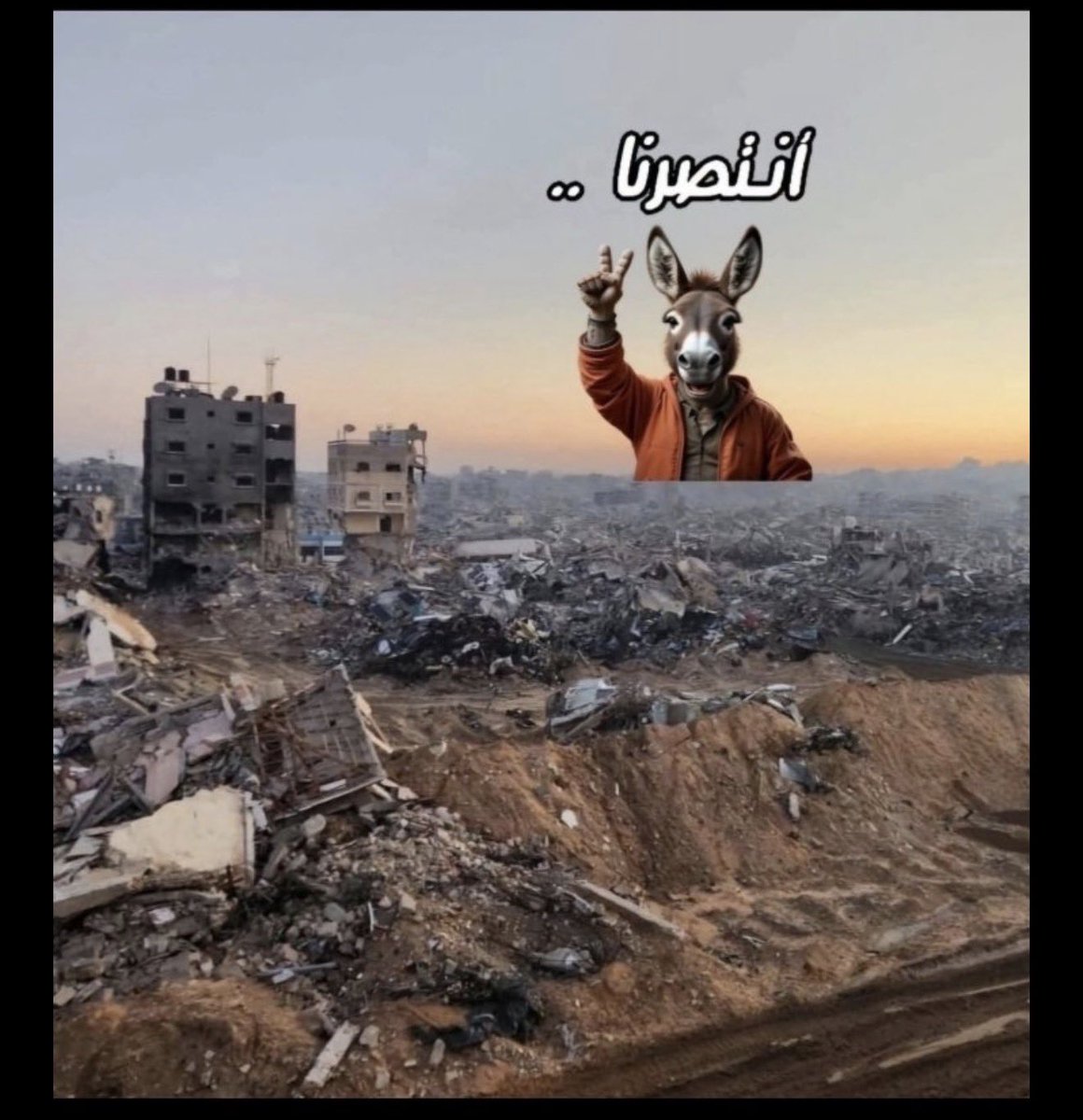 محمد الريس tweet media