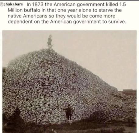 Revolutionary Blackout Network tweet media