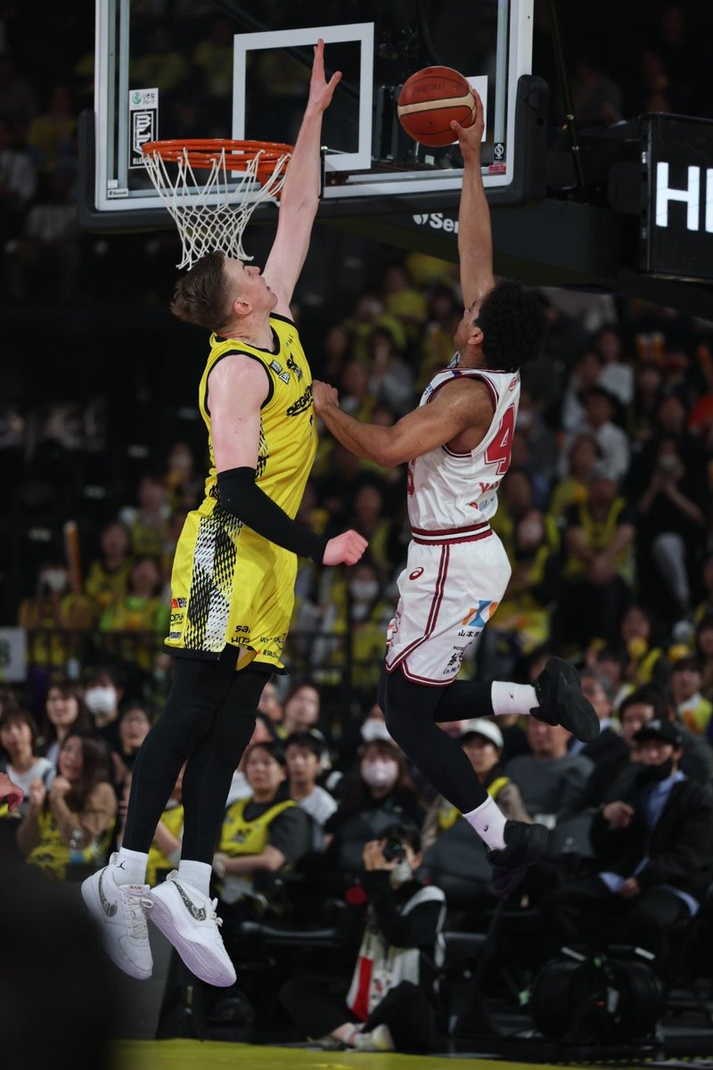 東京湾岸アンカナーレ tweet media