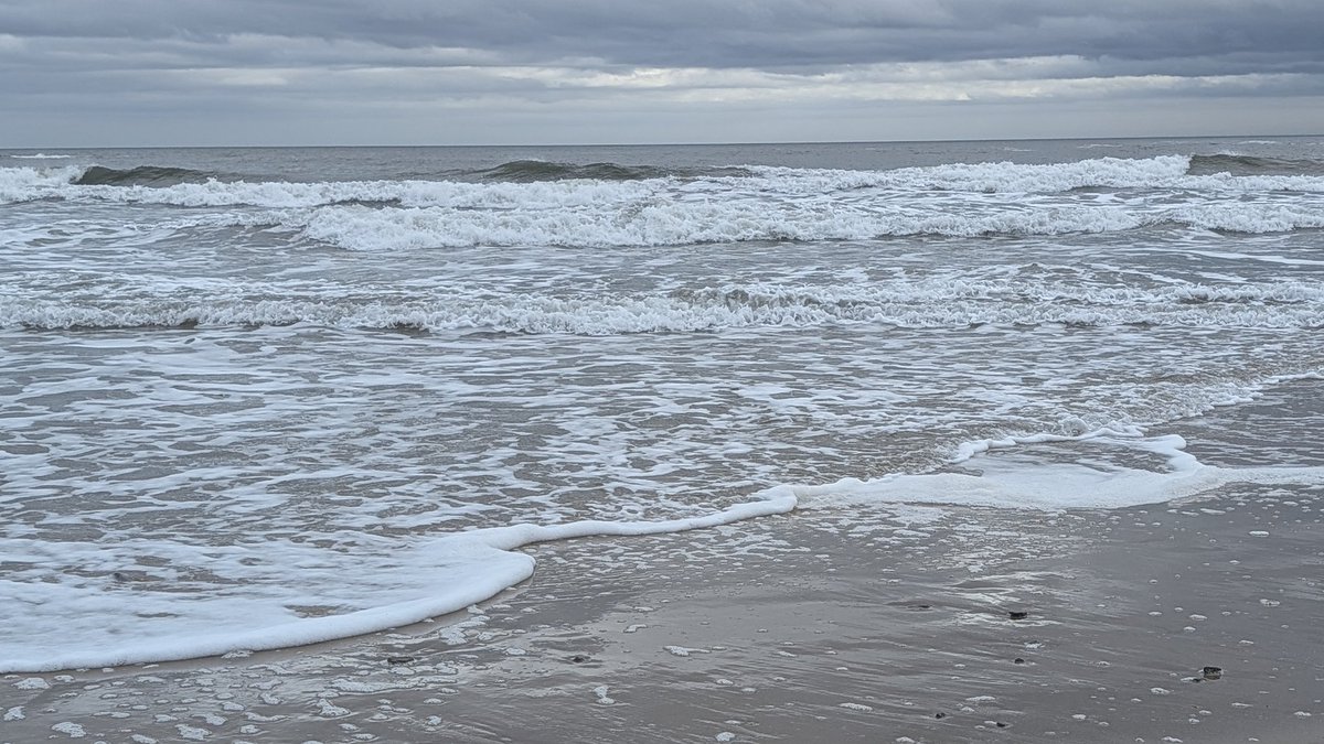 Mark Wallace tweet media