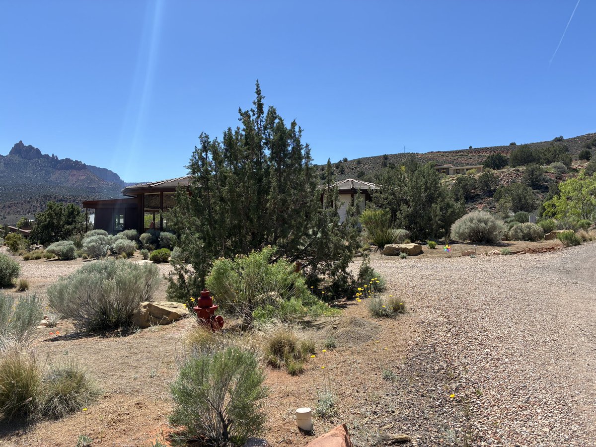 Samantha Hoffman tweet media