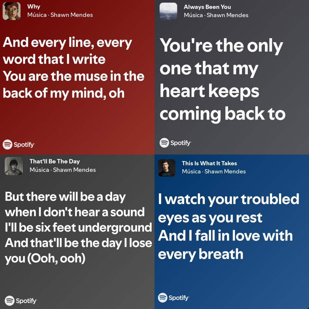 calma glr o shawn mendes existe