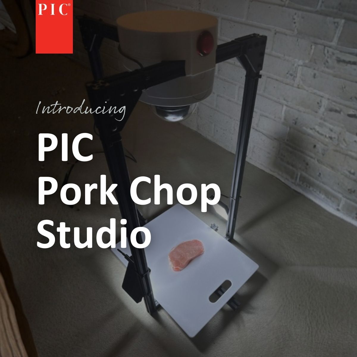 PigImprovement's tweet photo. 📸 What can pork chops, a photo studio and AI tell us about meat quality? 

Read about PIC’s new Pork Chop Studio to find out.
👉https://t.co/jkMRUmLb2D

#PICGenetics #PorkQuality #MeatScience https://t.co/thCzgfIAiM