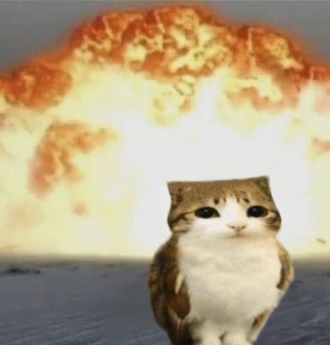 léa ✮⋆˙ tweet media