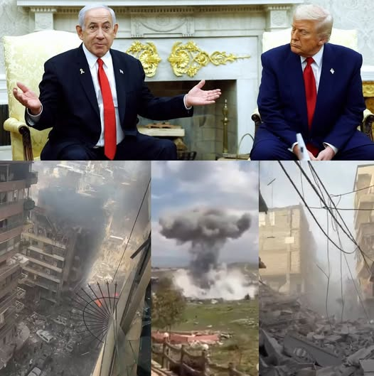 Occupy Democrats tweet media