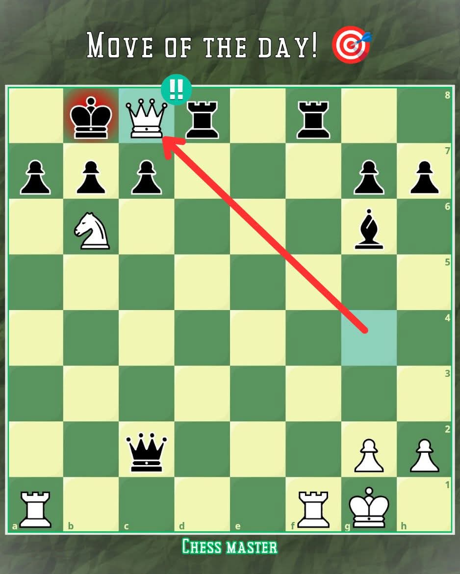 Chess Master tweet media