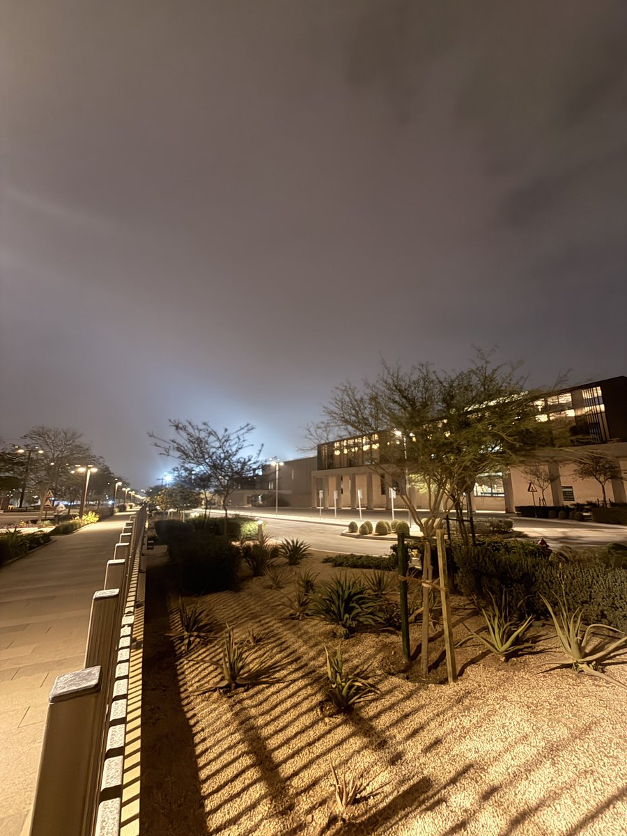 MSkyline tweet media