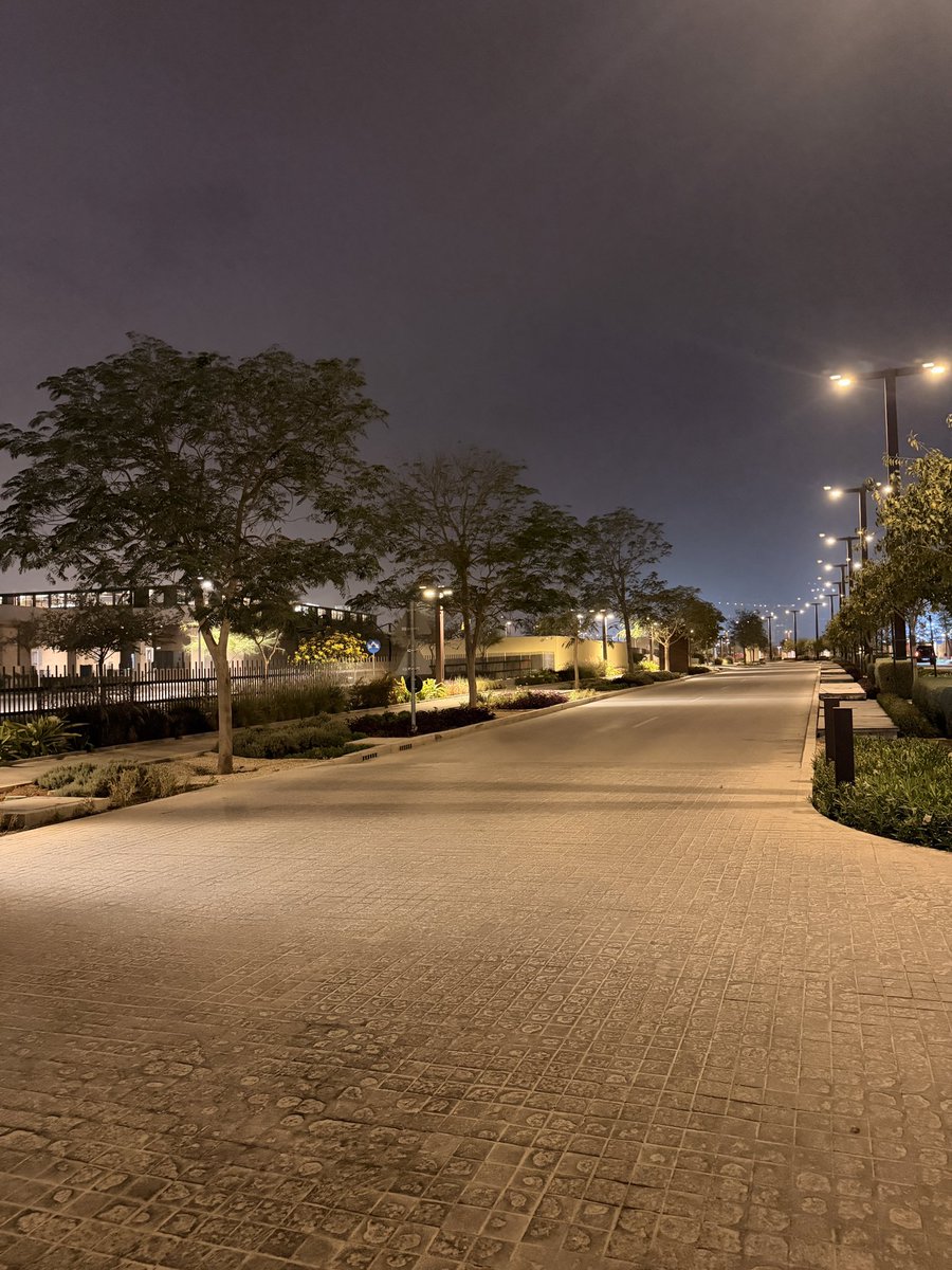 MSkyline tweet media