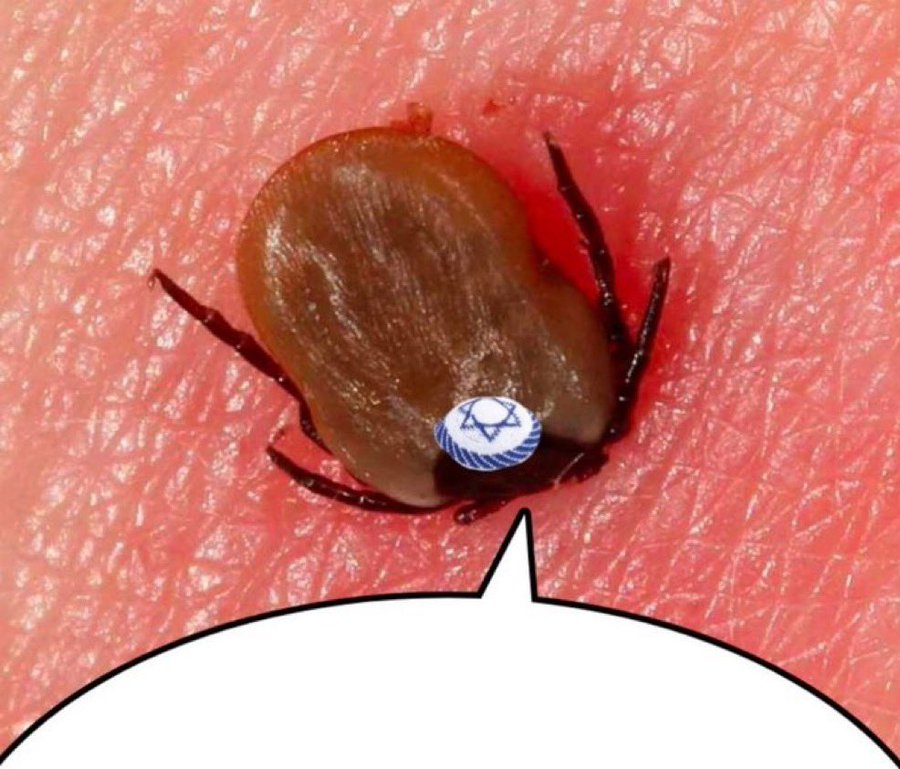 Disfruta lo votado tweet media