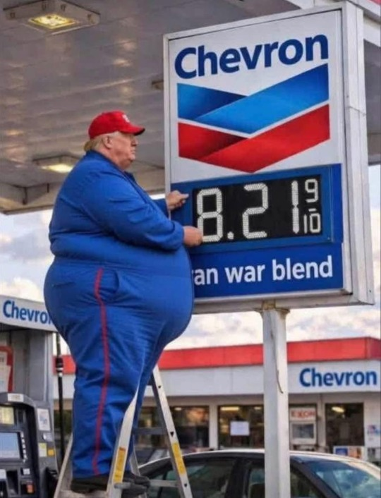 Brown Eyed Susan tweet media