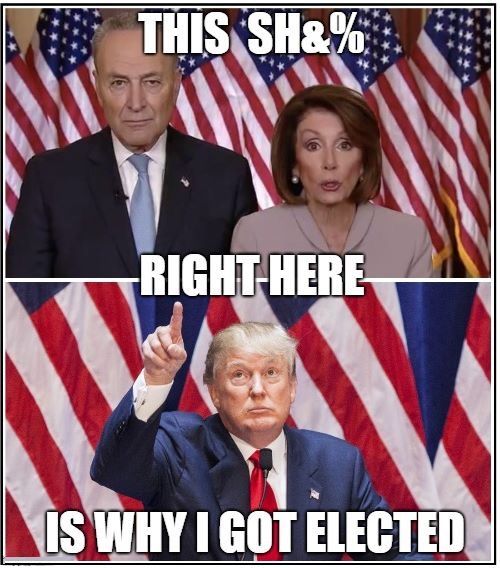 Austin Capps tweet media