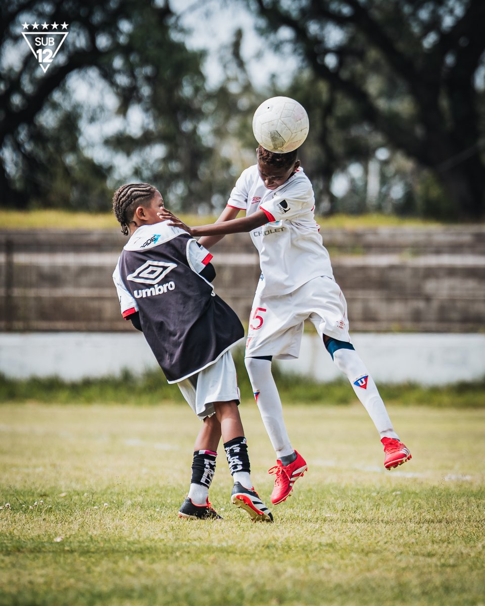 Formativas_LDU's tweet image. 🤩 ¡Nuestra #U12 en acción!

Seguimos motivados y con toda la actitud 🔛

#MiniGuerreros