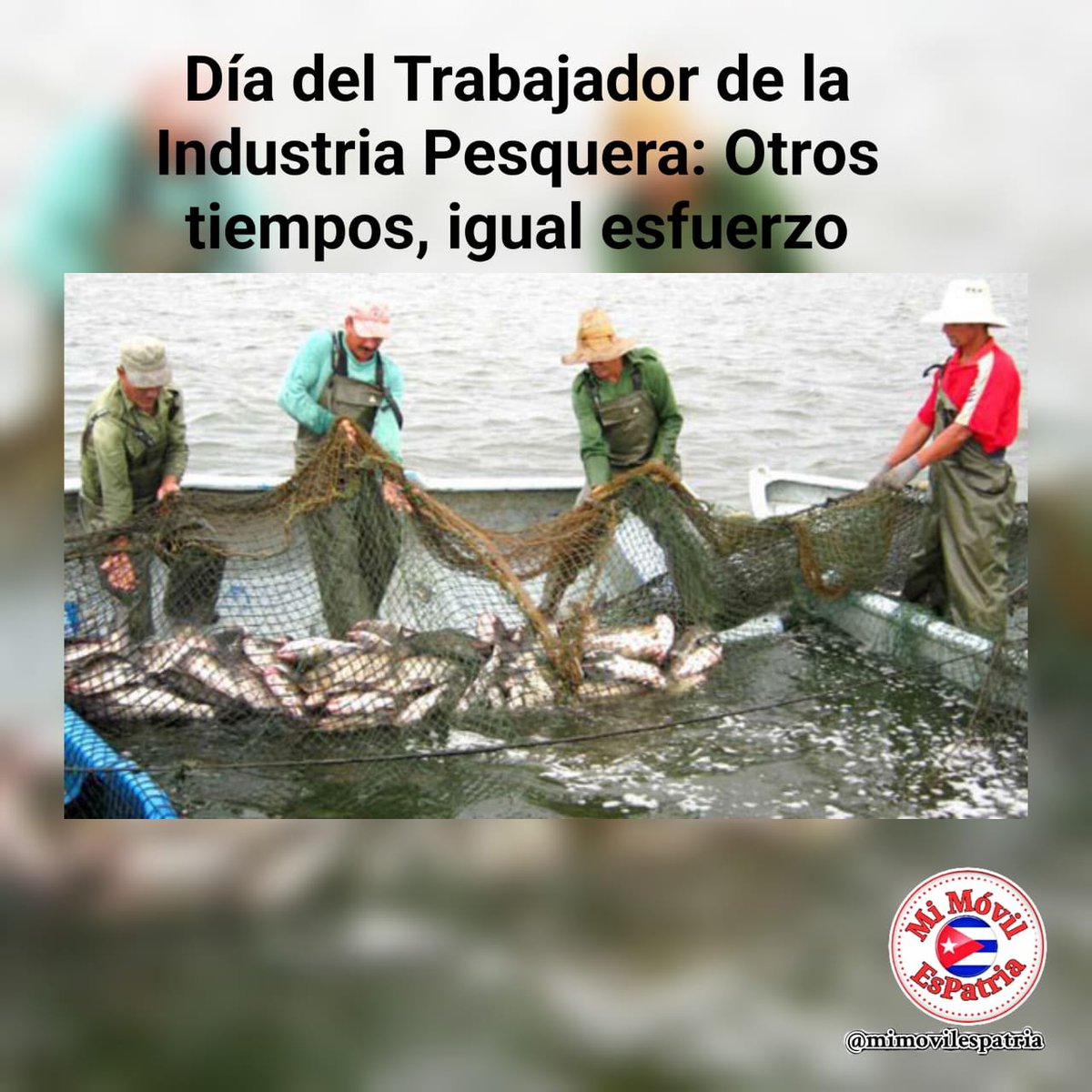 Ministerio de la Industria Alimentaria de Cuba tweet media