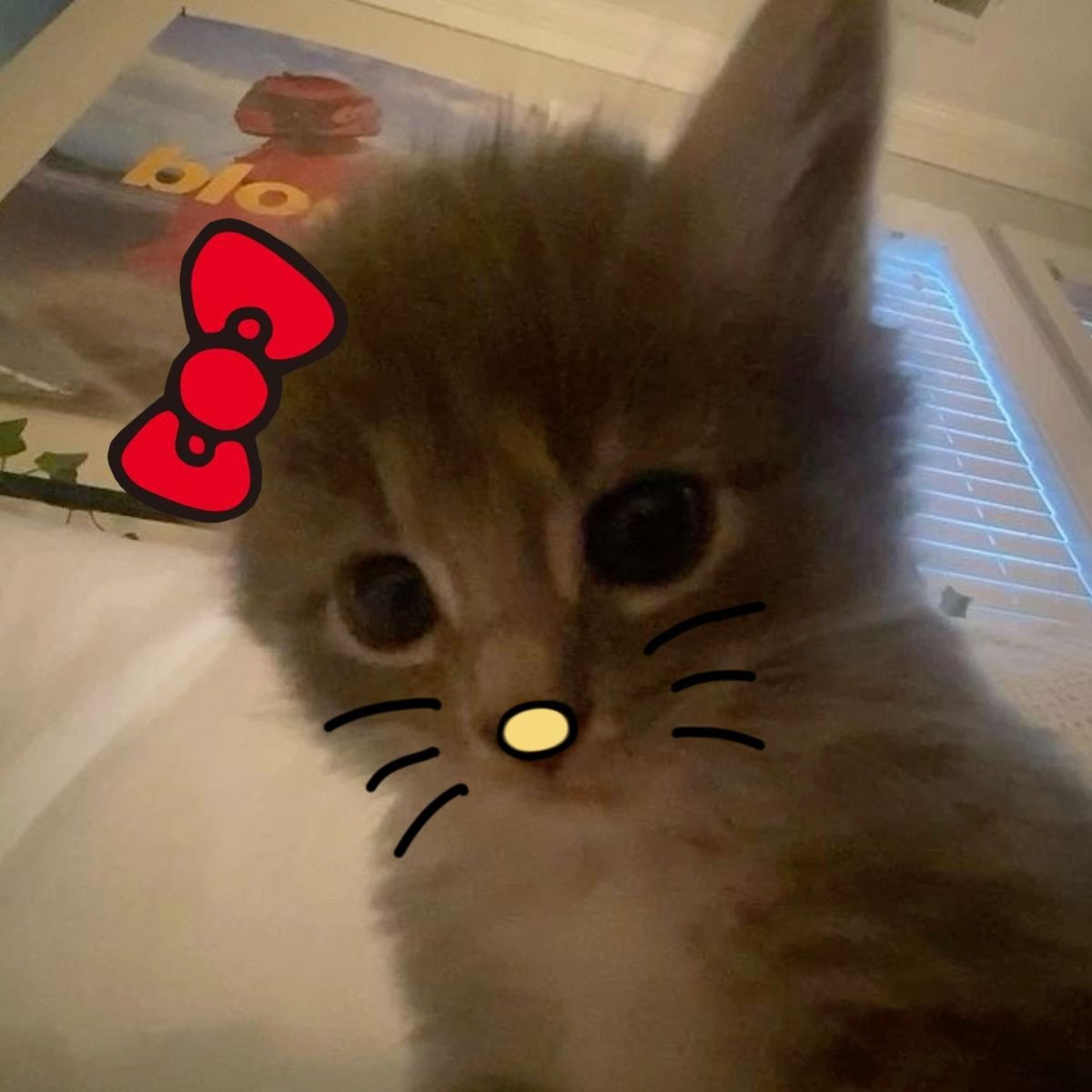 ⋆ jenn ⋆ tweet media