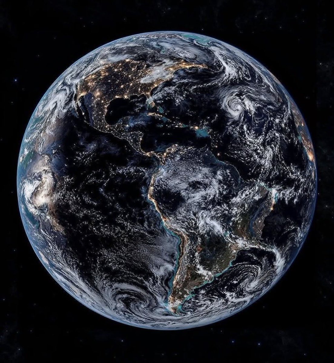 Frenkie_Woody tweet media