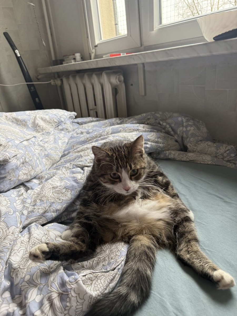 S3b@st!@n ✡️ tweet media