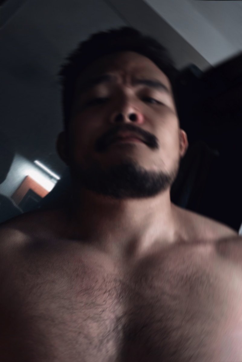 Big Bro Bear tweet media