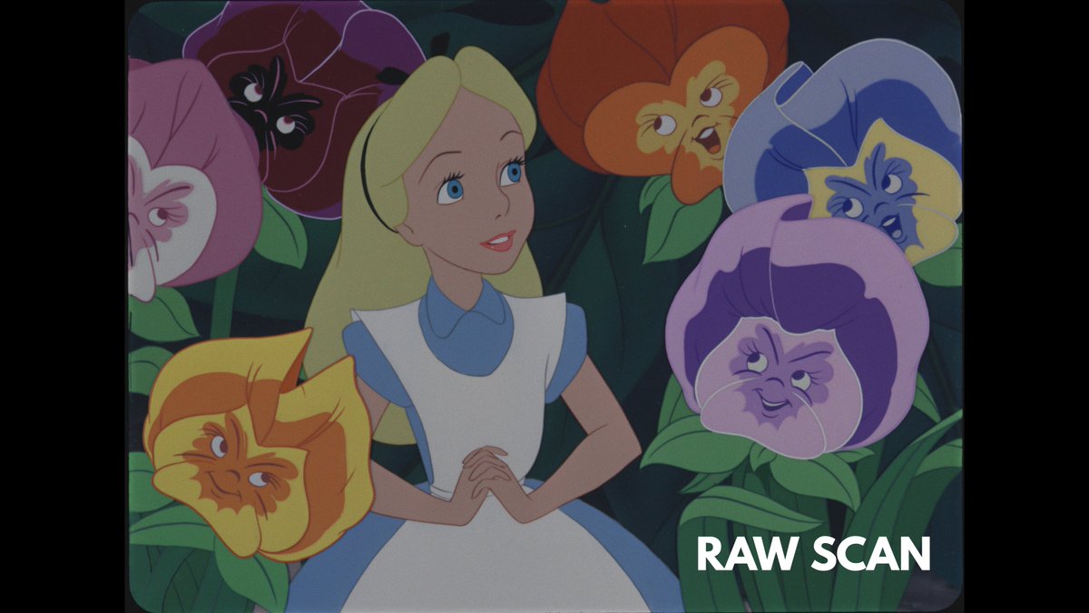HDMOVIESOURCE's tweet photo. Alice in Wonderland 75th Anniversary Raw Scan vs New Restoration Comparison. @Disney https://t.co/s2kmhHF9My