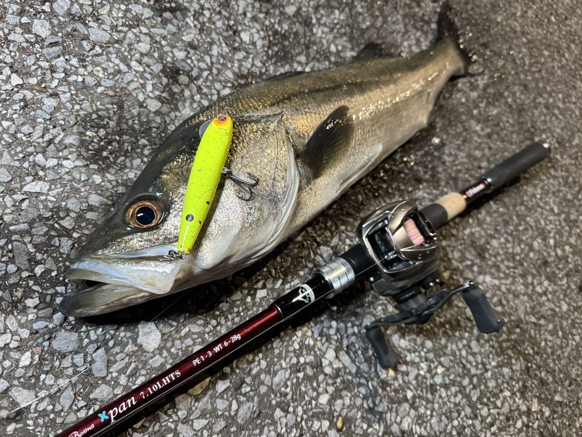 Akio_751026's tweet image. スネコン90Sを、ダウンの流れに乗せて、
流すだけで巻かずにシーバスをGET！😊

#bluebluefishing #BlueBlue 
#Fishman #DAIWA