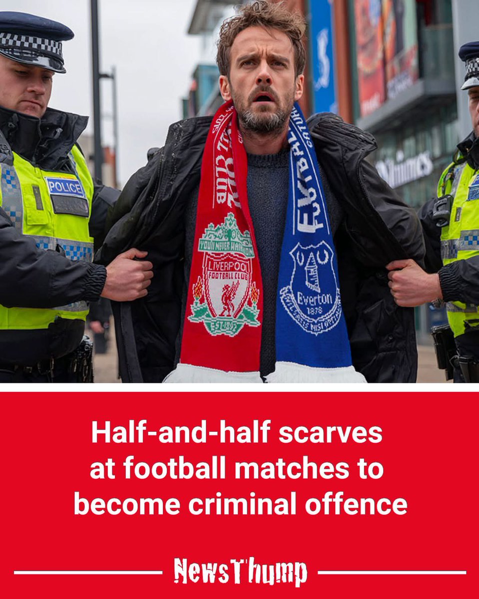 Shelly Hanz 🐚✨ tweet media