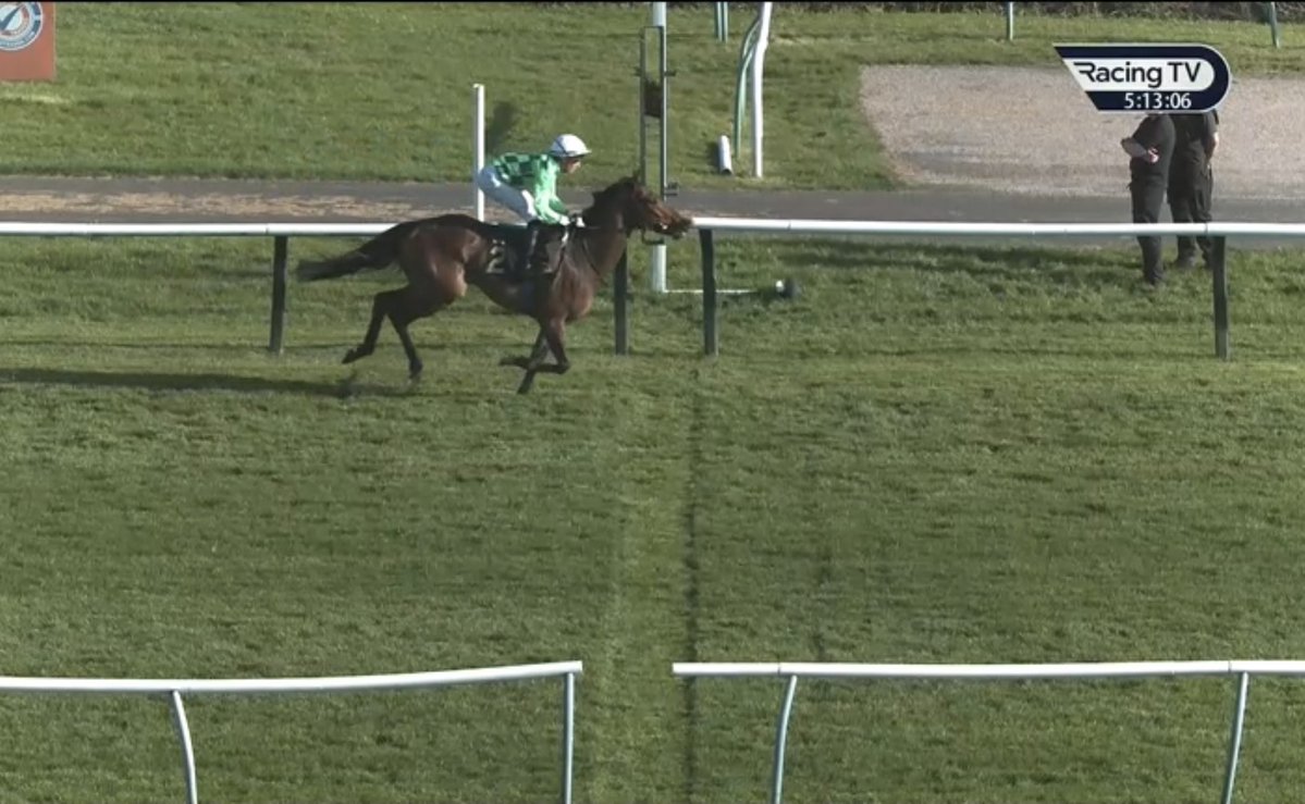 Joe Norris tweet media