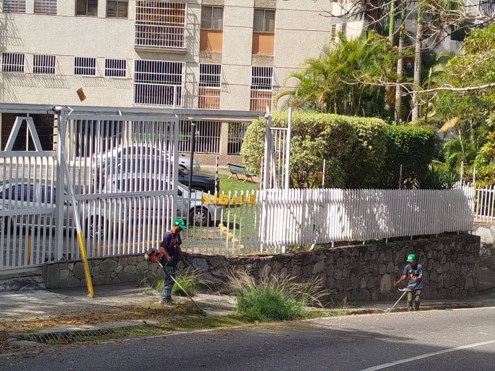 Darwin González tweet media