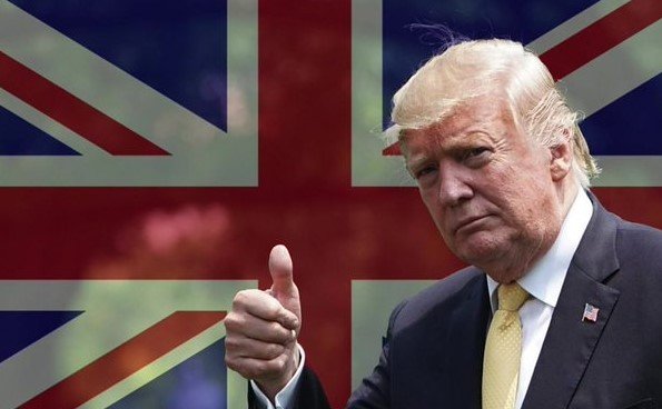 Blueverse tweet media