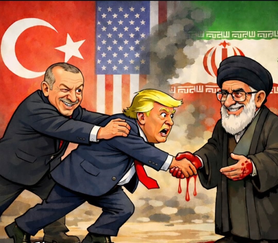 Simin Sharifzadeh tweet media