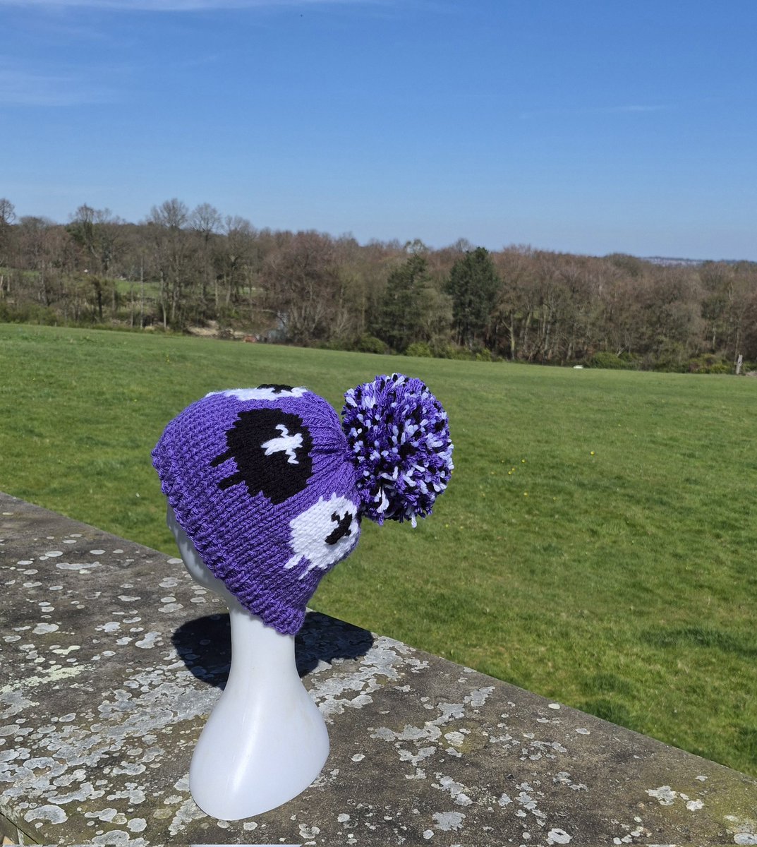 The Yorkshire Grey Sheep tweet media