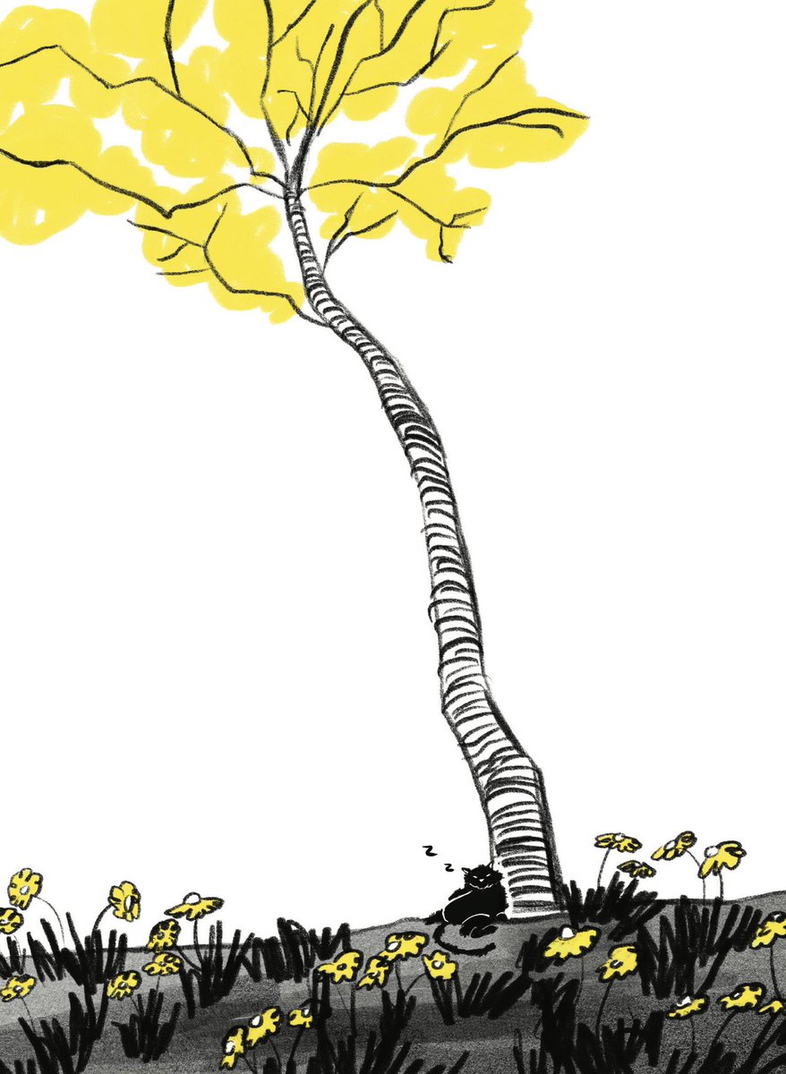 ALLBEART tweet media