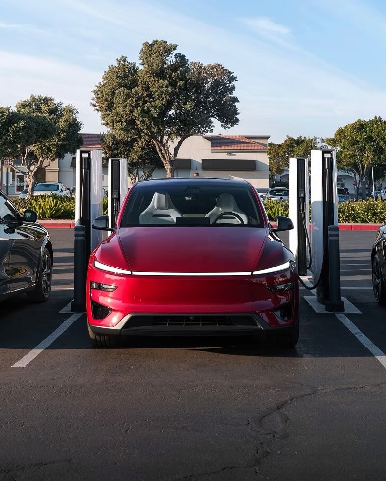 Nic Cruz Patane tweet media