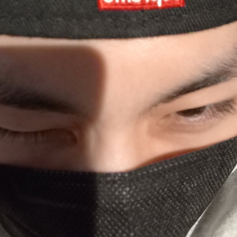 lilys🐈 tweet media