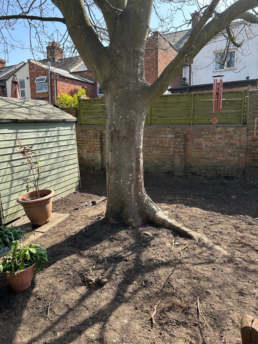 nptonhopecentre's tweet photo. A pleasure to host a volunteering team from Barratt Homes, our community garden is looking amazing and getting ready for the summer. We will be ready to host our service users activities in a smart and stimulating environment
#CommunityGarden #BarrattHomes #HopeInTheCommunity https://t.co/I34nqmFgWv
