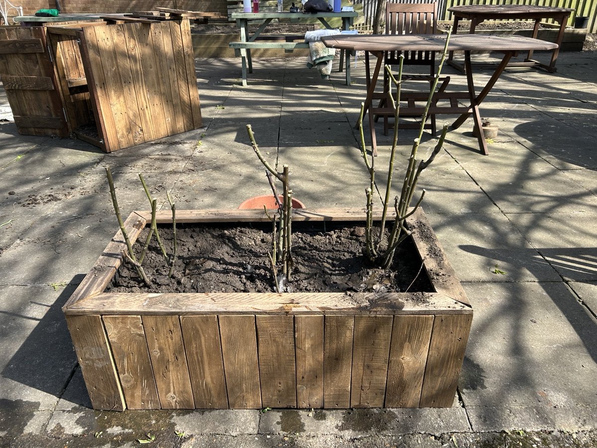 nptonhopecentre's tweet photo. A pleasure to host a volunteering team from Barratt Homes, our community garden is looking amazing and getting ready for the summer. We will be ready to host our service users activities in a smart and stimulating environment
#CommunityGarden #BarrattHomes #HopeInTheCommunity https://t.co/I34nqmFgWv