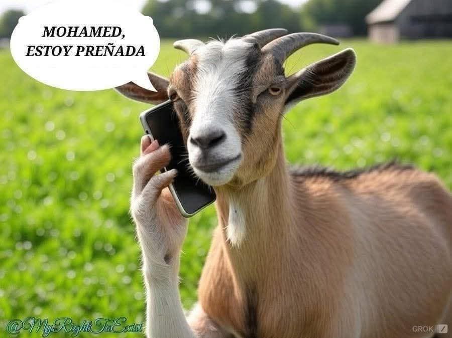 jorge luque tweet media