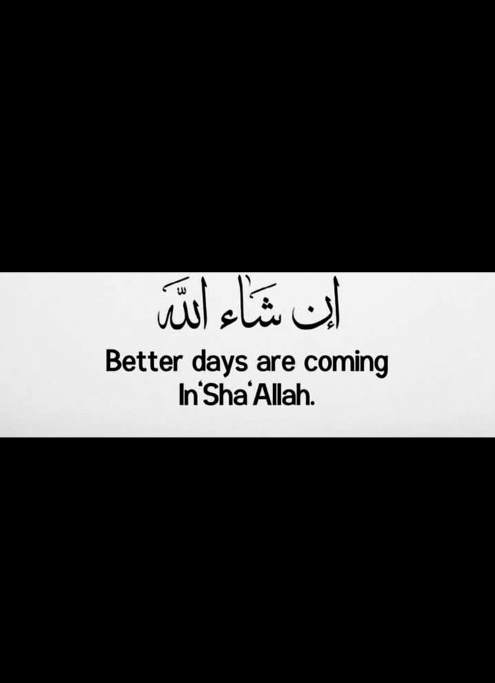 Ilham🇳🇬🇵🇸♥️ tweet media
