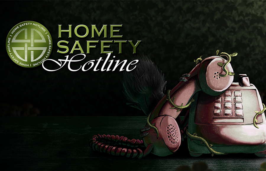 Bloody Disgusting tweet media