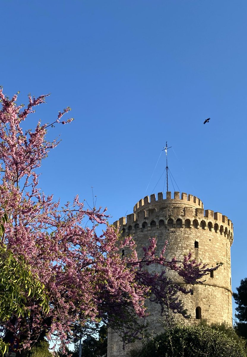 Αλεξίπτωτο 🪂 tweet media