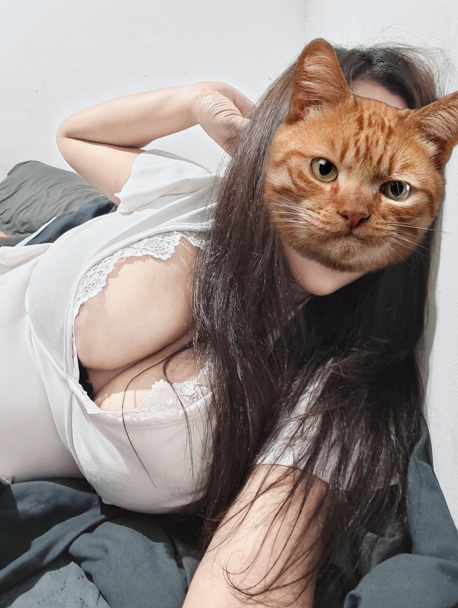 Superchubby tweet media