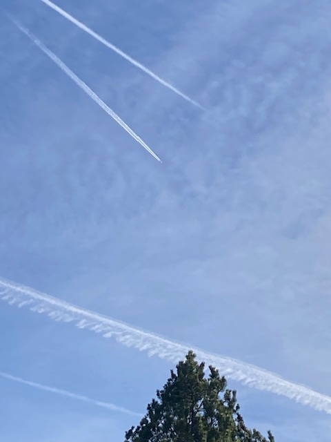 Michael, Leader of The Dog's Life tweet media