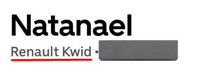 𝖇𝖎𝖗𝖉𝖘 |-/ tweet media