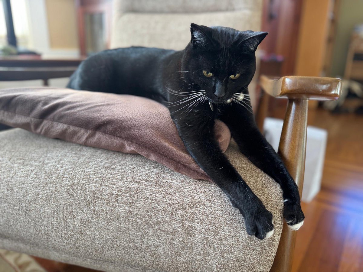 Harriet the Spy tweet media