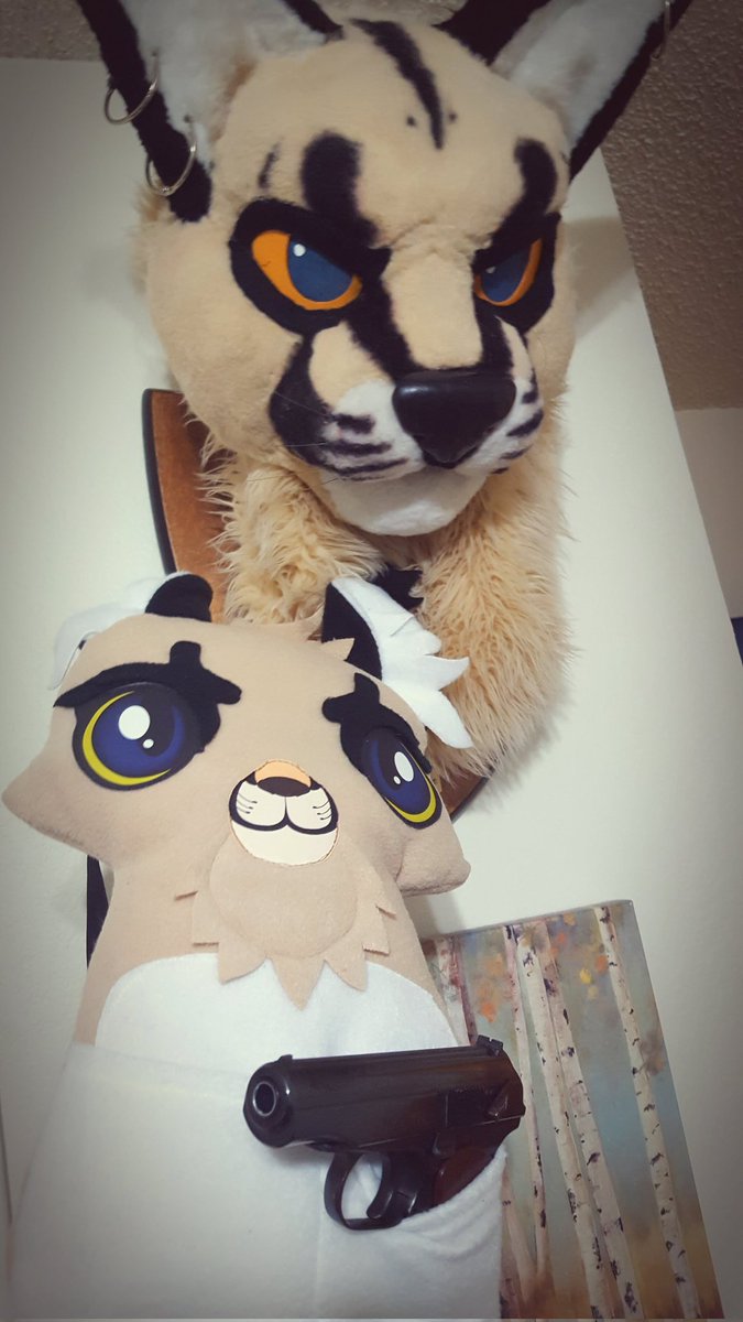 💎 Gem Caracal 💎 🇺🇲 tweet media