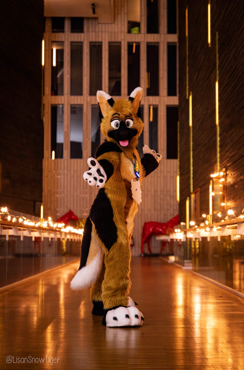 CertifiedBlep's tweet photo. What if we helped each other find a path filled with warmth and light? 💙

📸 @LisanSnowTiger at #NFC2026 https://t.co/J6IrbkNigh