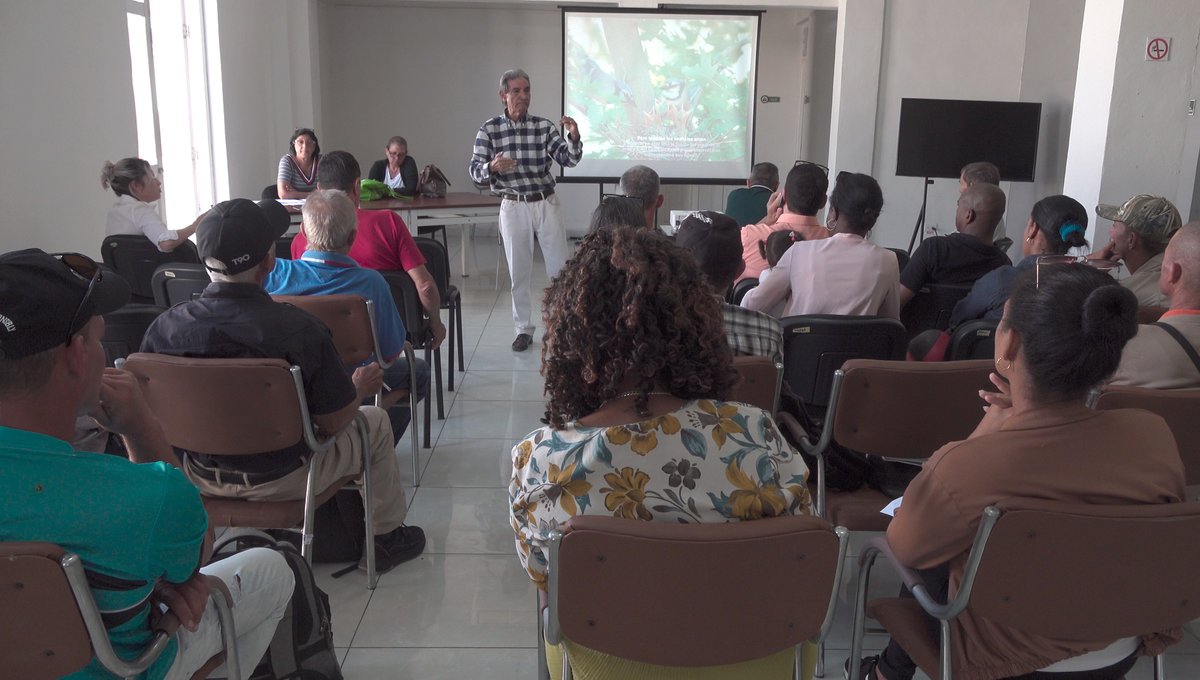 Isa de Pinar tweet media